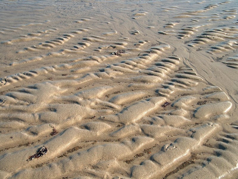 Walking Meditation